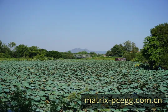 PC蛋蛋开奖数据微观矩阵检测视效